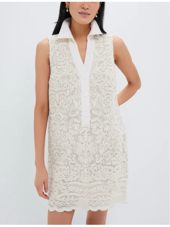 Tuckernuck Collier Tab White Crochet Sleeveless Mini Dress XL - Picture 2 of 7